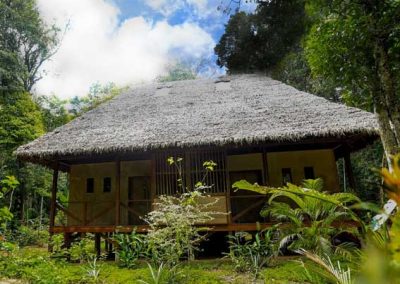 Amazon Villa